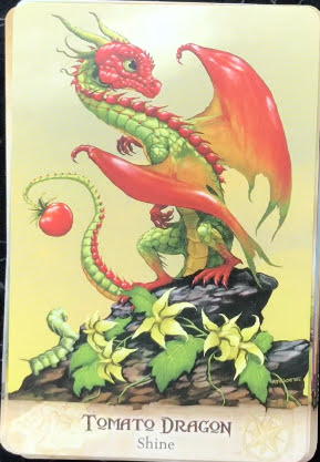 Field Guide to Garden Dragons